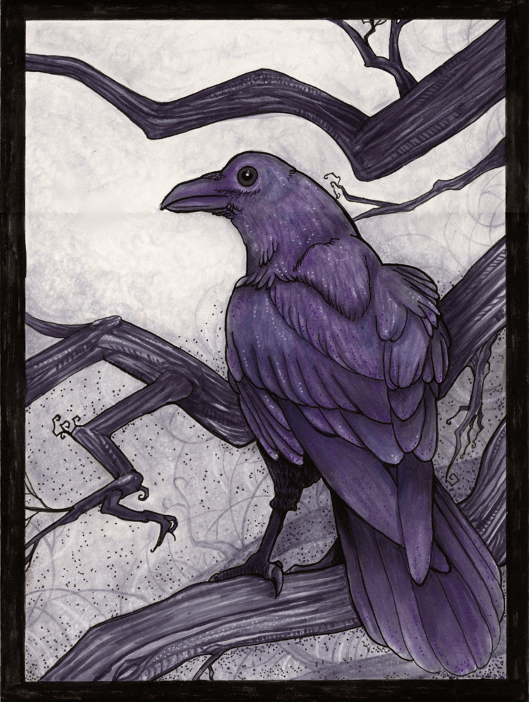 A drawing of a raven perched on a tree branch.